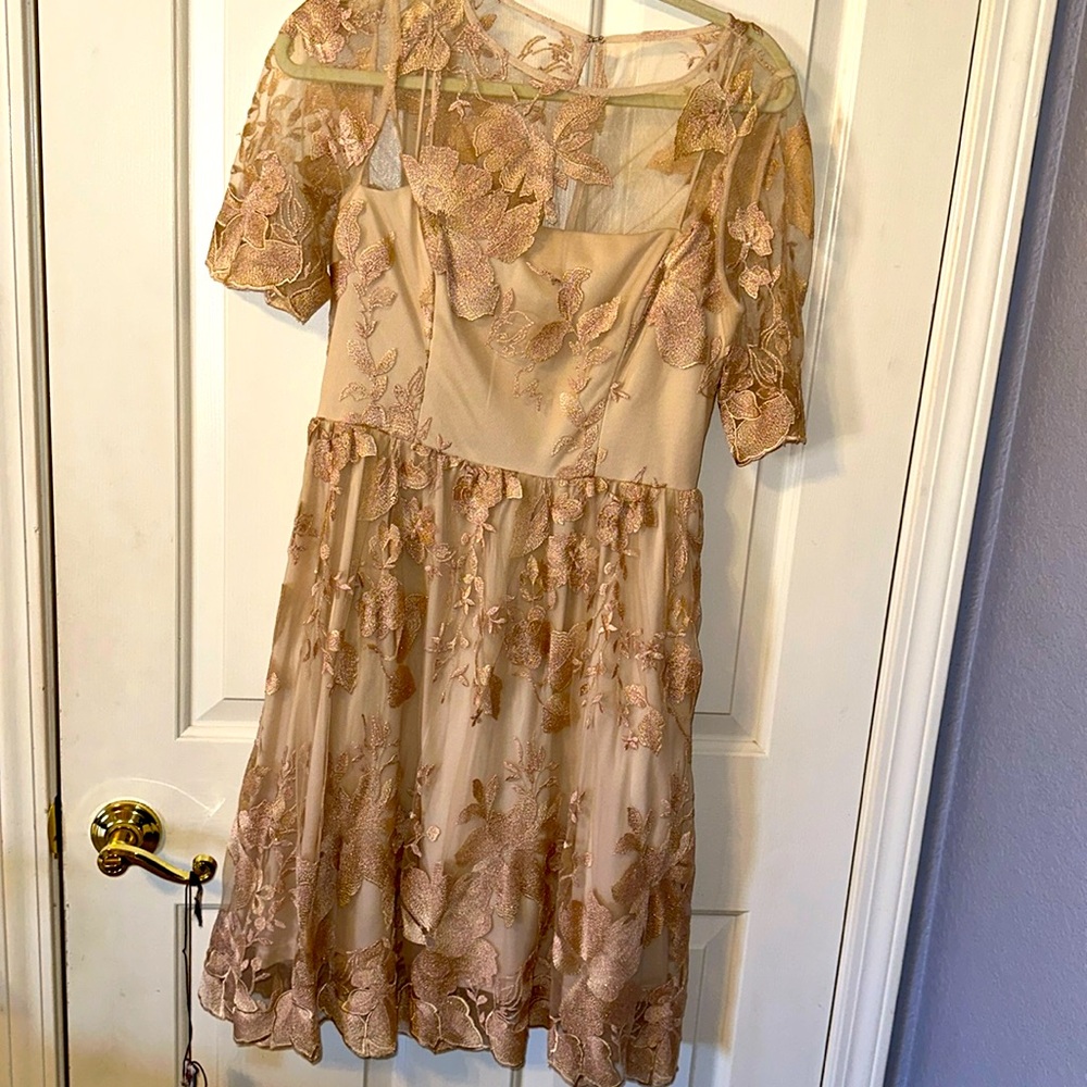 Semi new cocktail dress . Only one time use